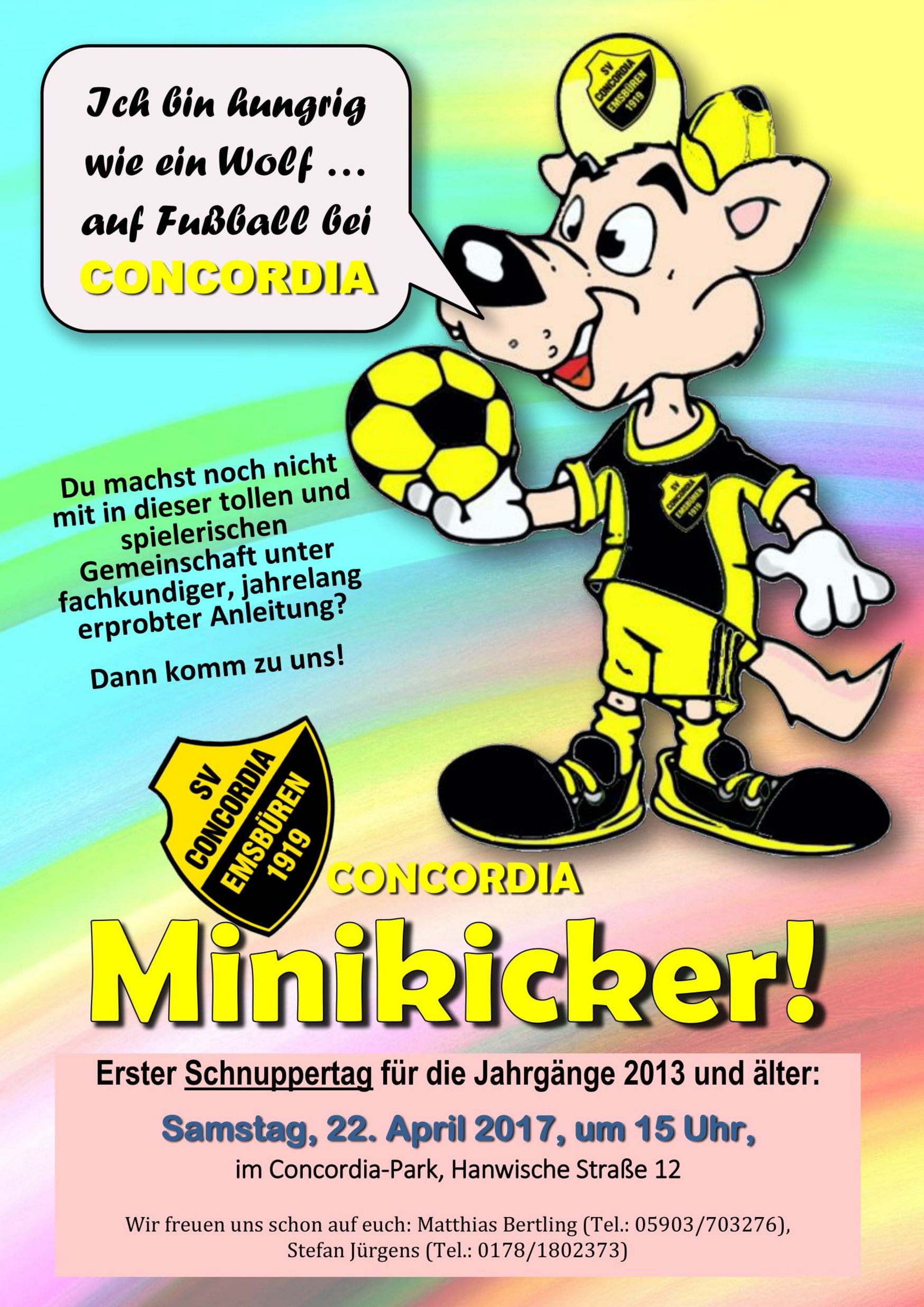 Plakat Minikicker 2017 1